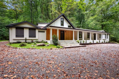 1032 Paint Pony Trl Pegram TN 37143