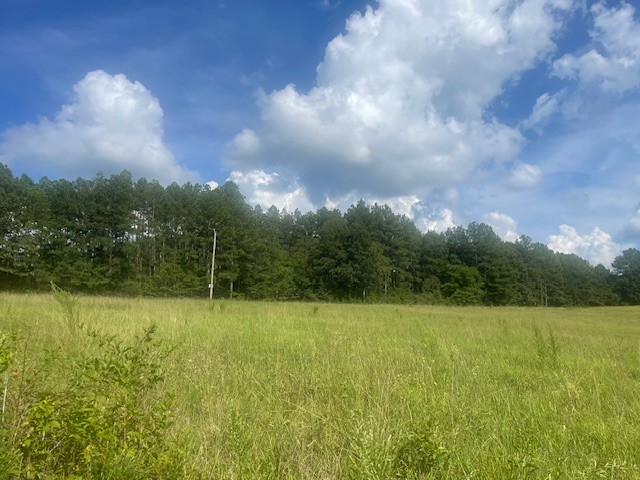 0 Tennessee Ridge Road