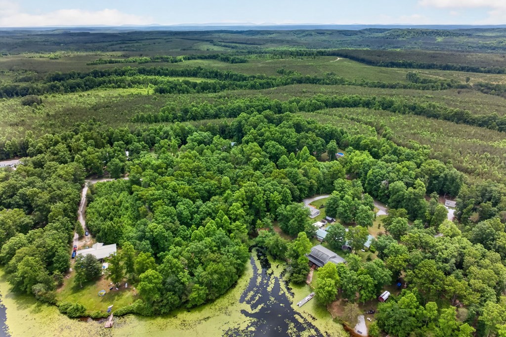 1211 Camp Belle Air Rd