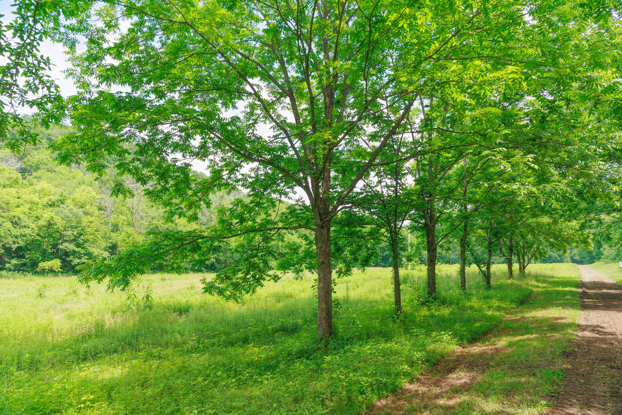 582 Cedar Bend Rd