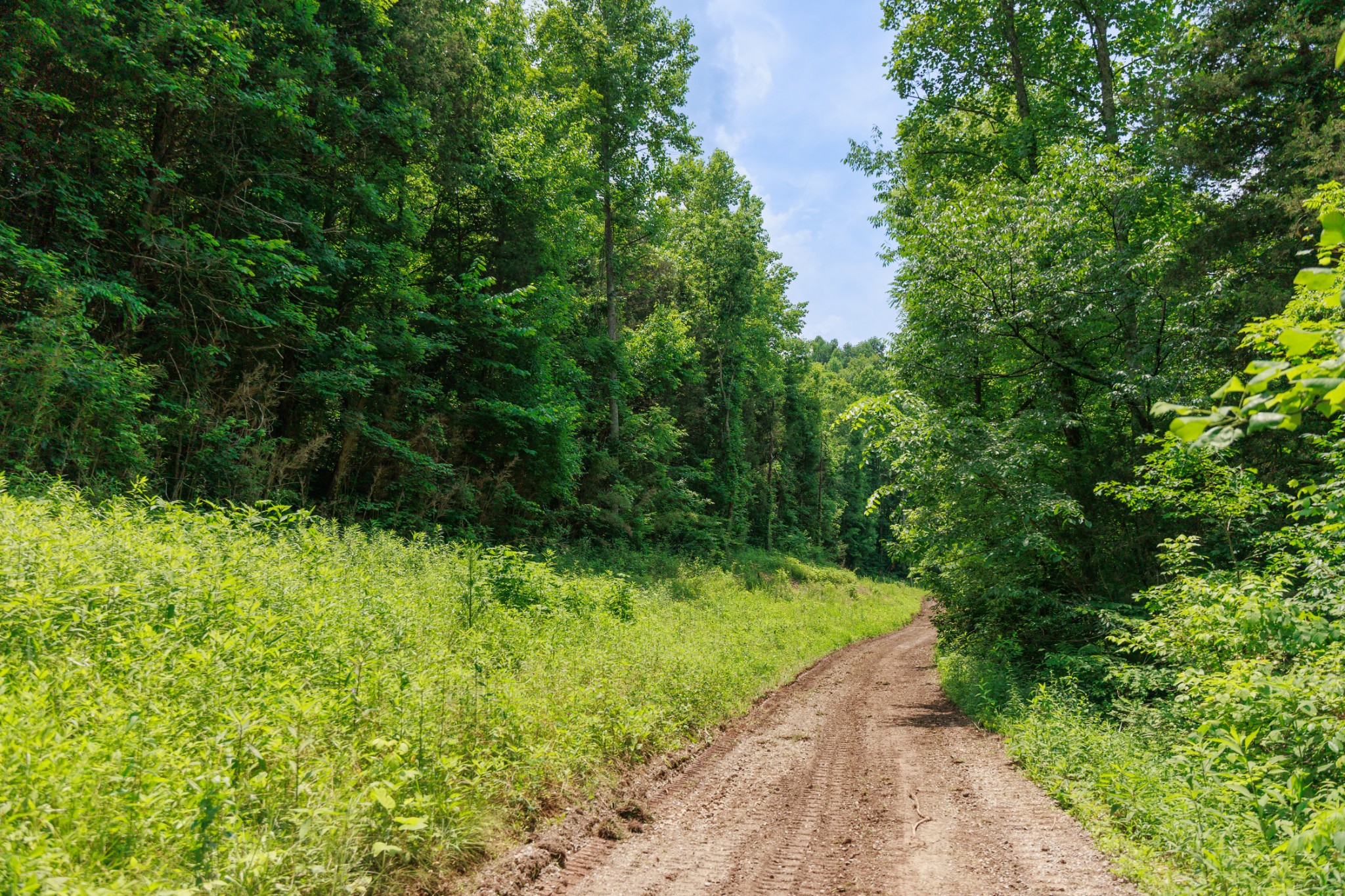 582 Cedar Bend Rd