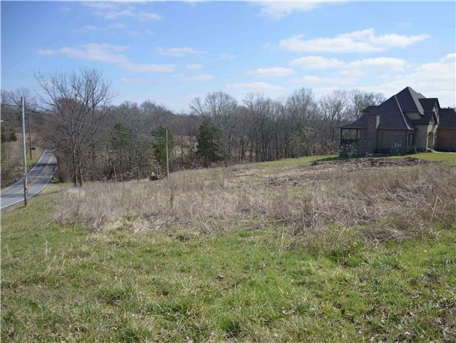 Photo 1 of 2 — 1 AVONDALE ACCESS ROAD, Hendersonville, TN 37075