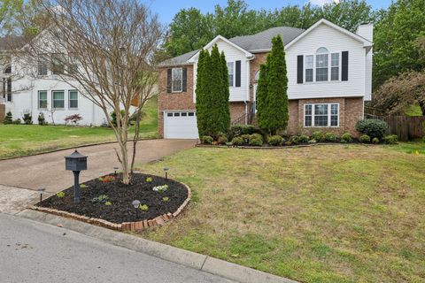 319 Freedom Dr, Franklin, TN 37067 - MLS#: 2814507
