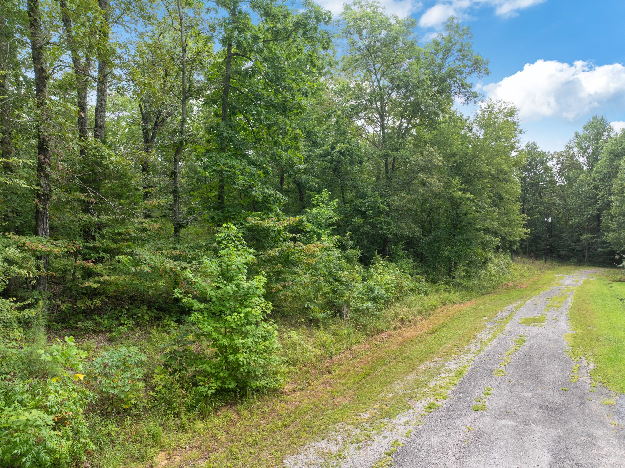 213 Jason Hollow Road