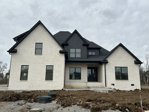 1807 Rhonda Dr Christiana TN 37037