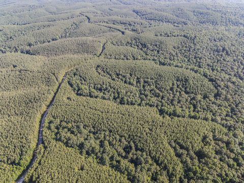 0 Brush Creek Rd Hohenwald TN 38462