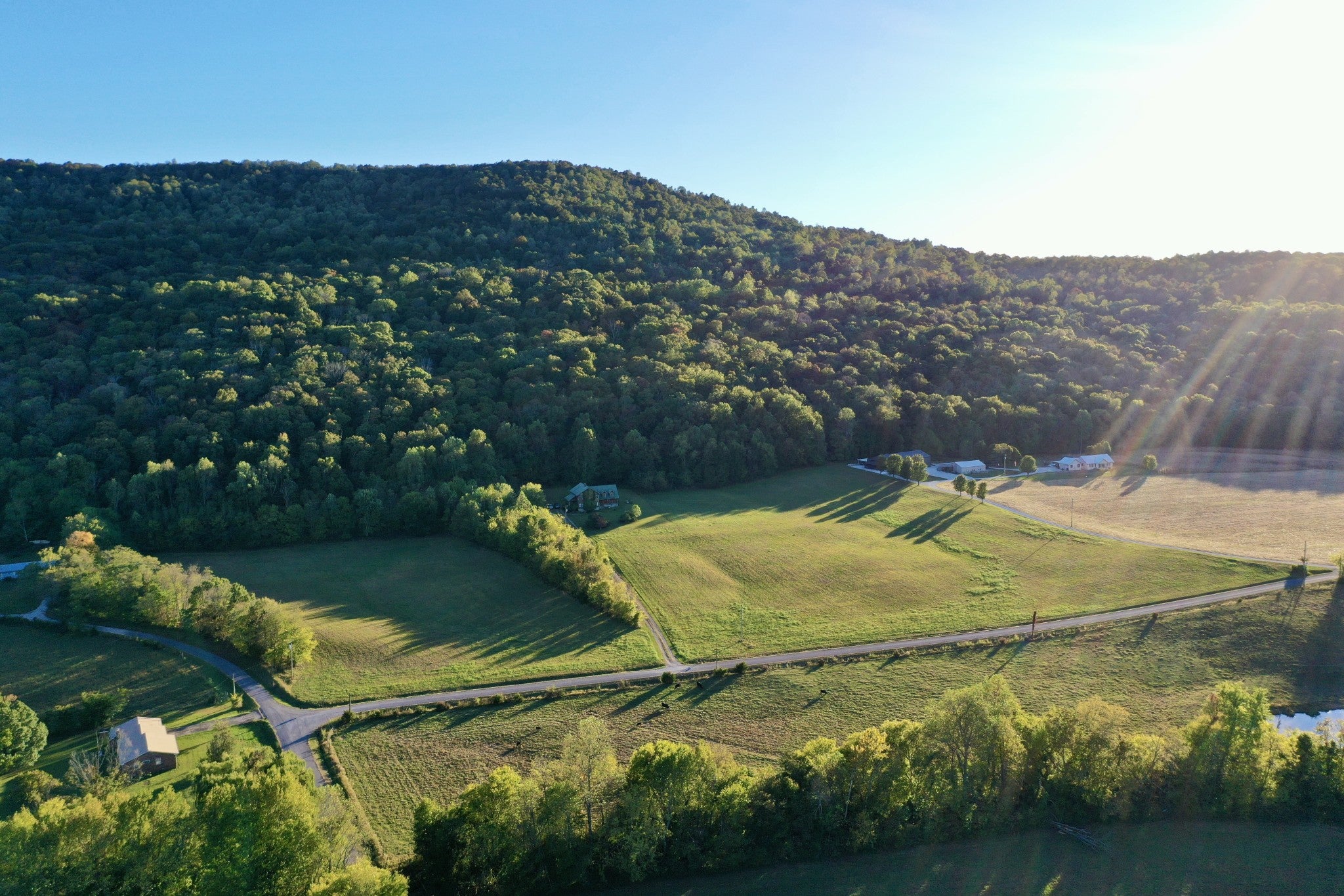 1444 Henry Cove Rd