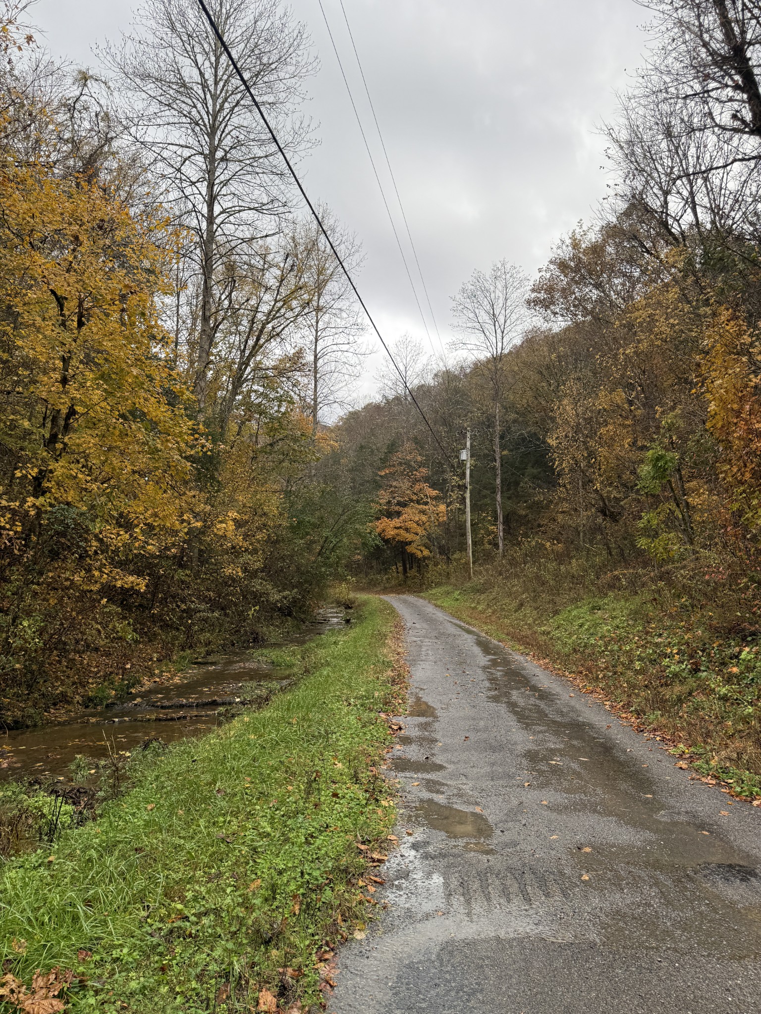 634 Hensley Creek Ln