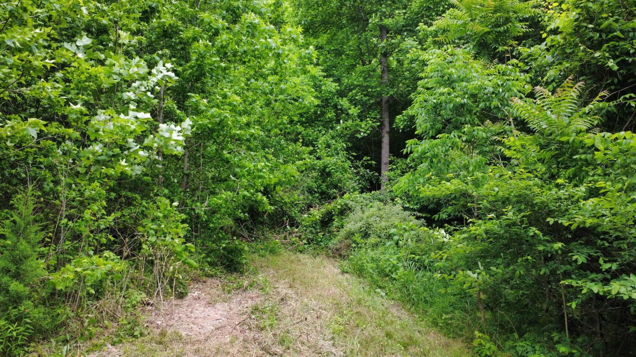 0 Love Branch Rd