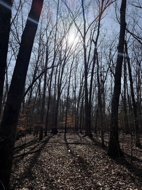 0 Step Rock Hill Rd Cookeville TN 38506