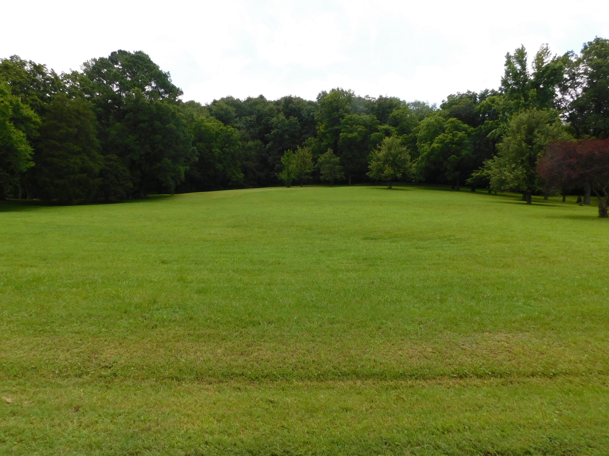 1694 Blue Moon Rd