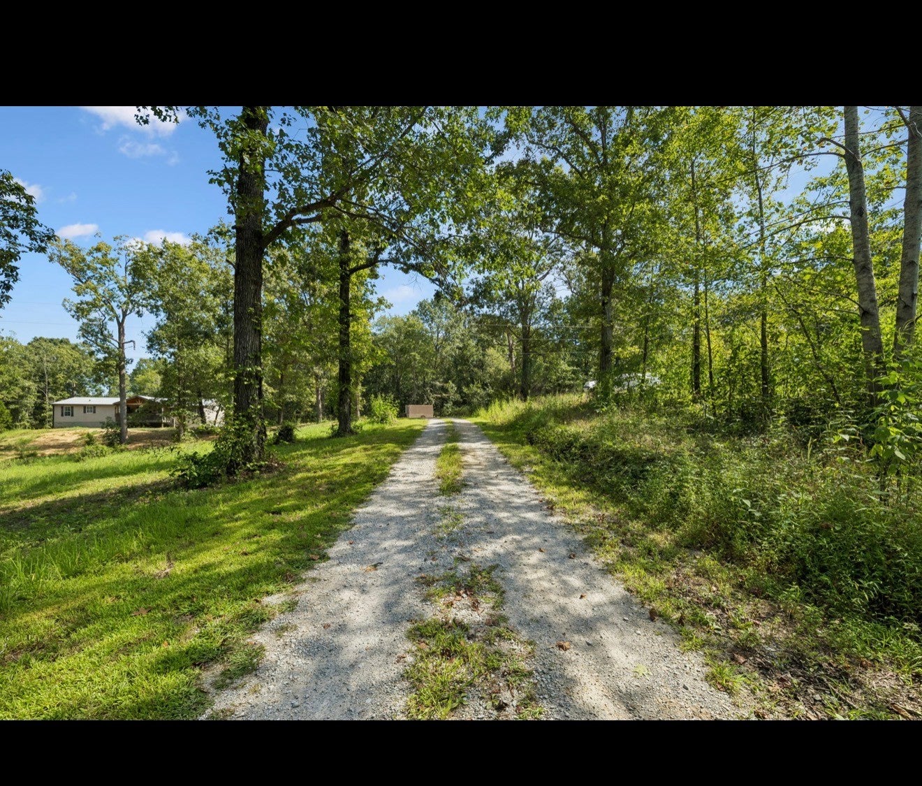 318 Lucas Ridge Ln