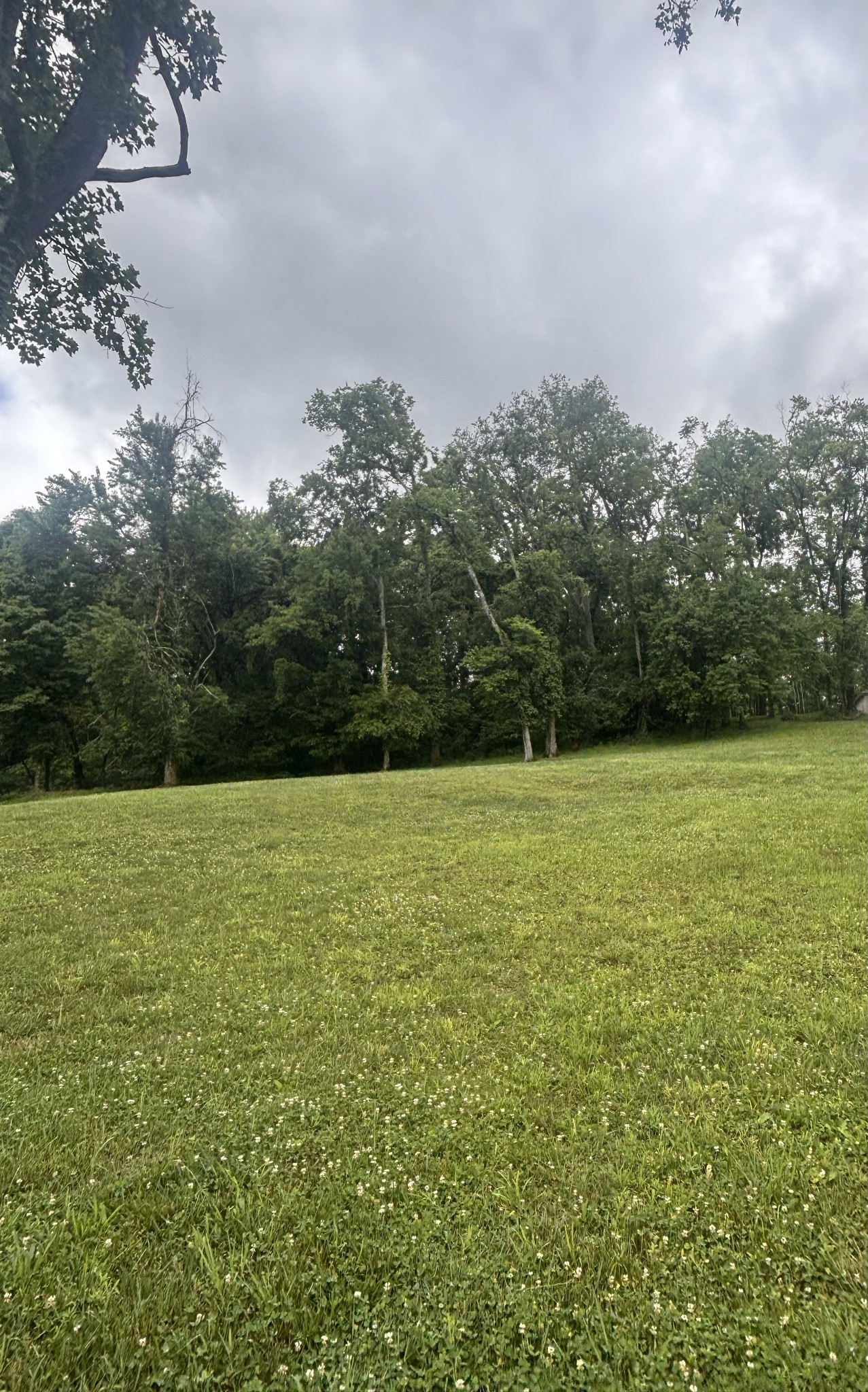 269 Rock Cress Road