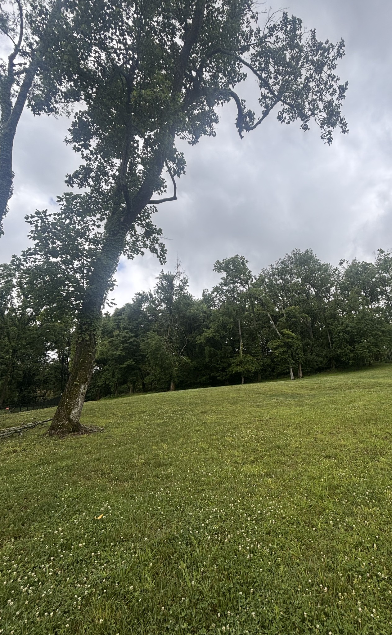 269 Rock Cress Road
