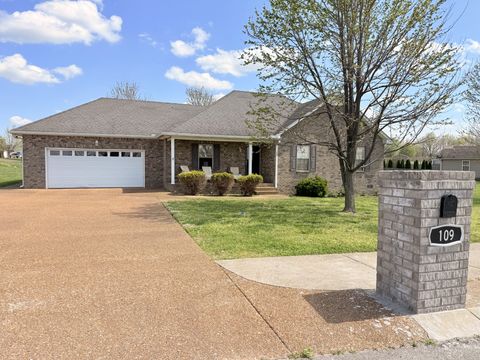 Photo of 109 Beaver Creek Dr, Portland, TN 37148 (MLS # 3168942)