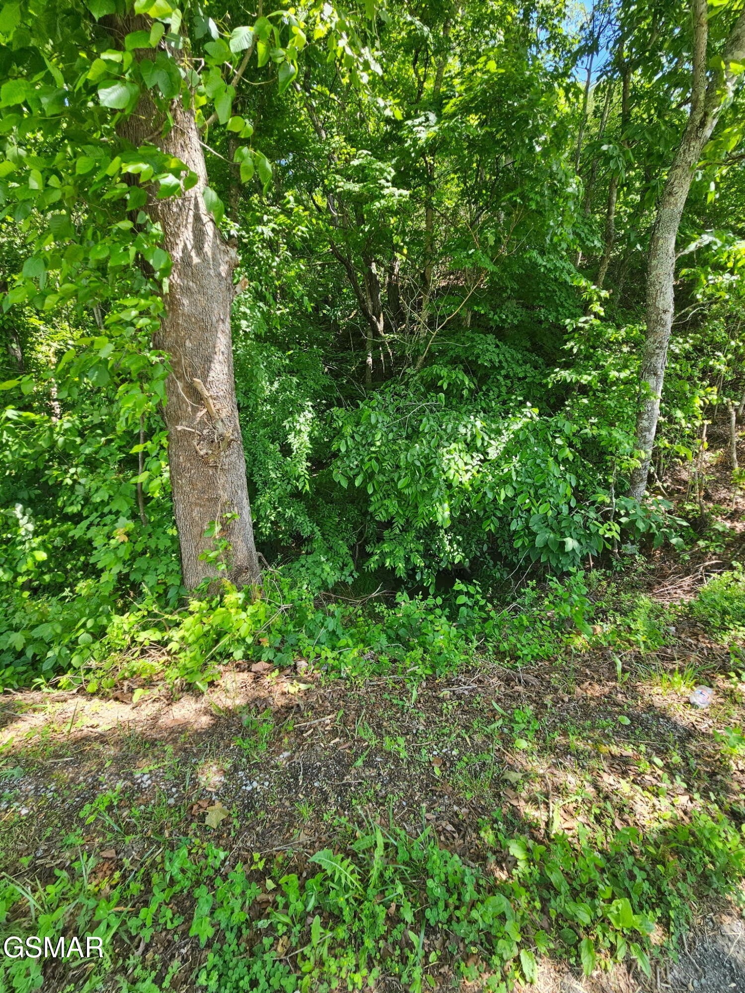 335 Oakwood Road
