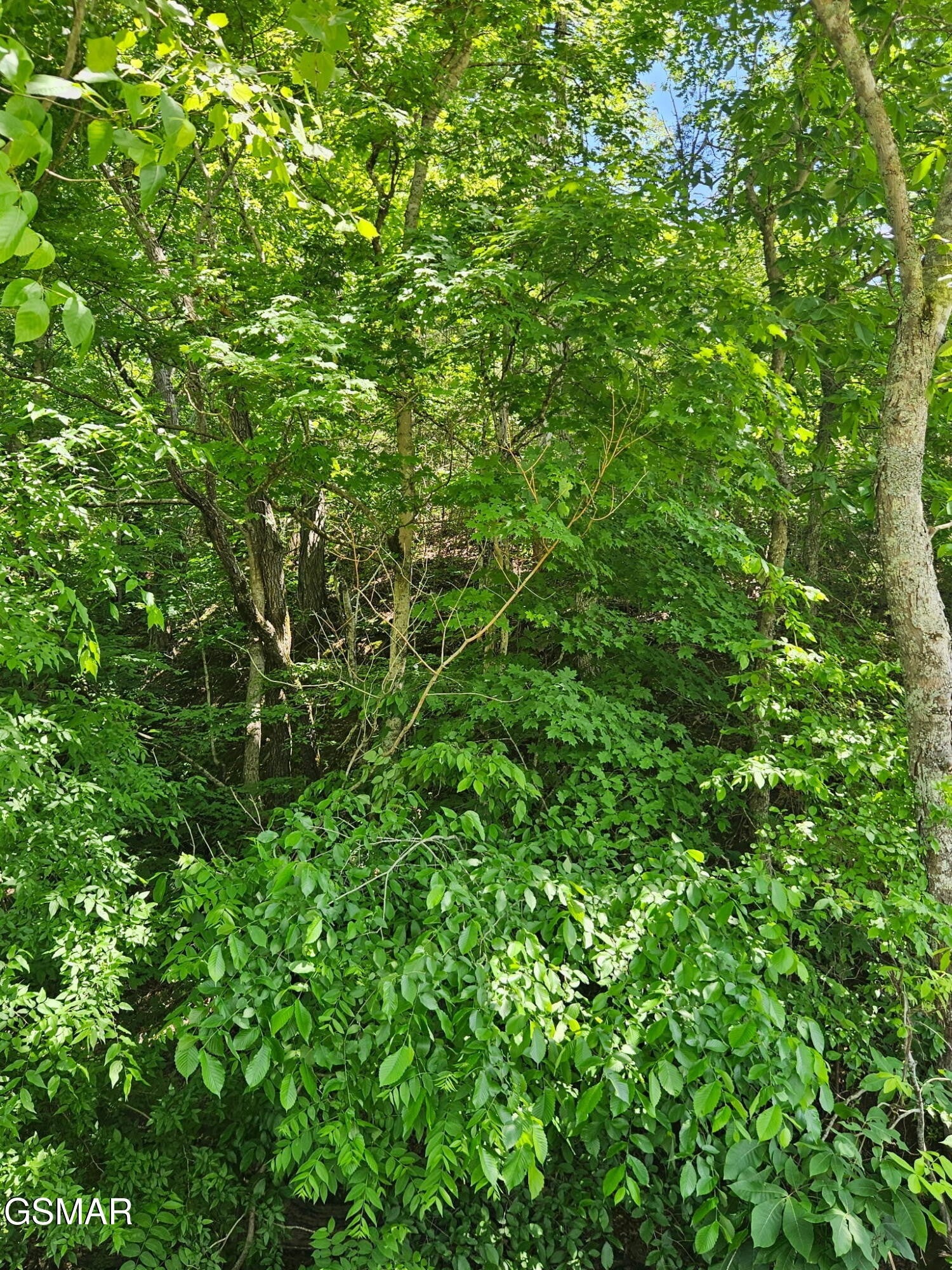 335 Oakwood Road