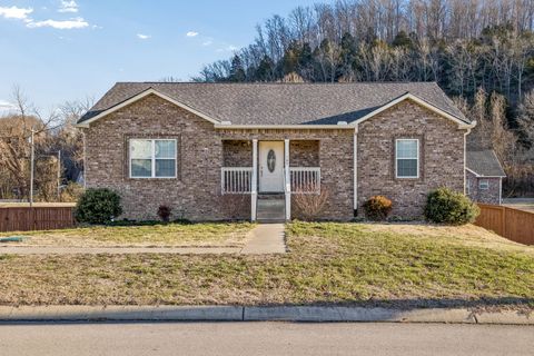 107 Carls Pl Ashland City TN 37015