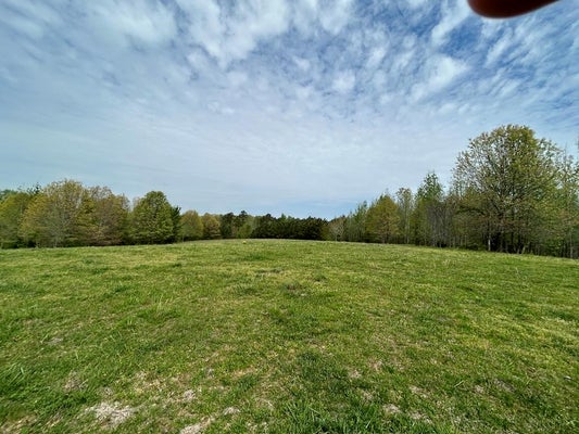 0 ELKHORN RD, SPRINGVILLE, TN 38256 - Image 9f2e13dcdee69fea754351b769cc859f/3380630950