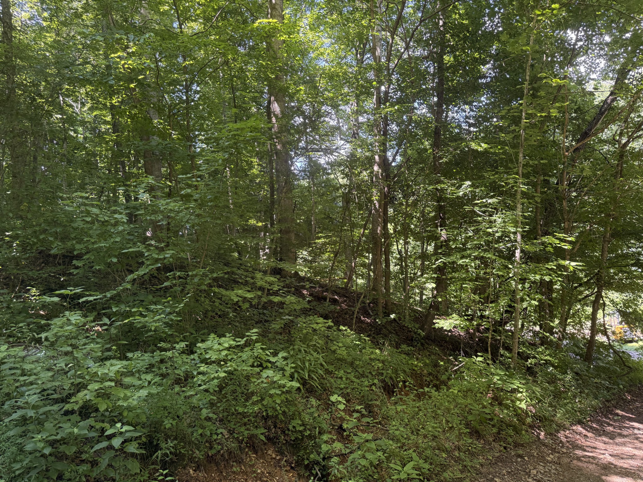 1 Countryside DR