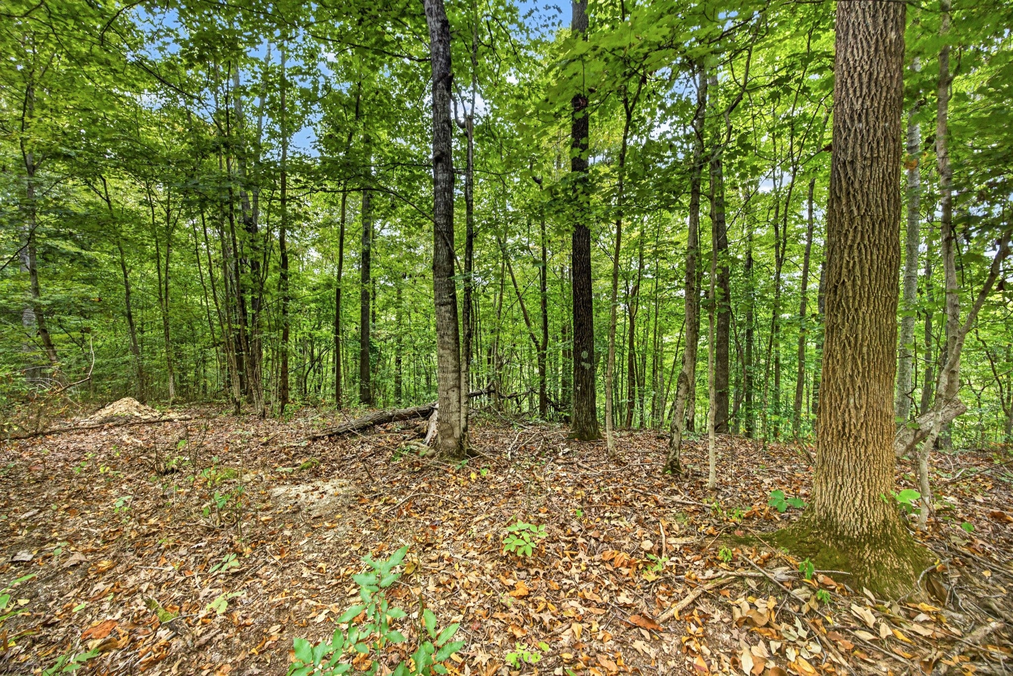 0 Timber Ridge Lane