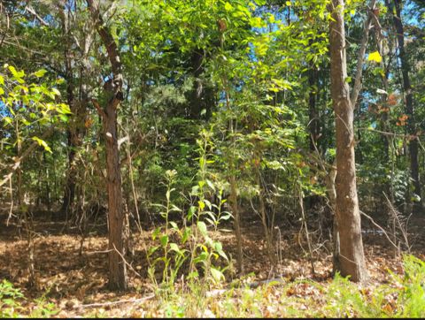 5515 Blues Trl E Centerville TN 37033