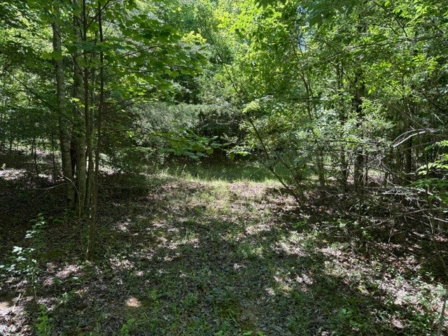0 Wildwood Rd