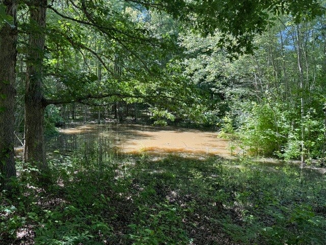 0 Wildwood Rd