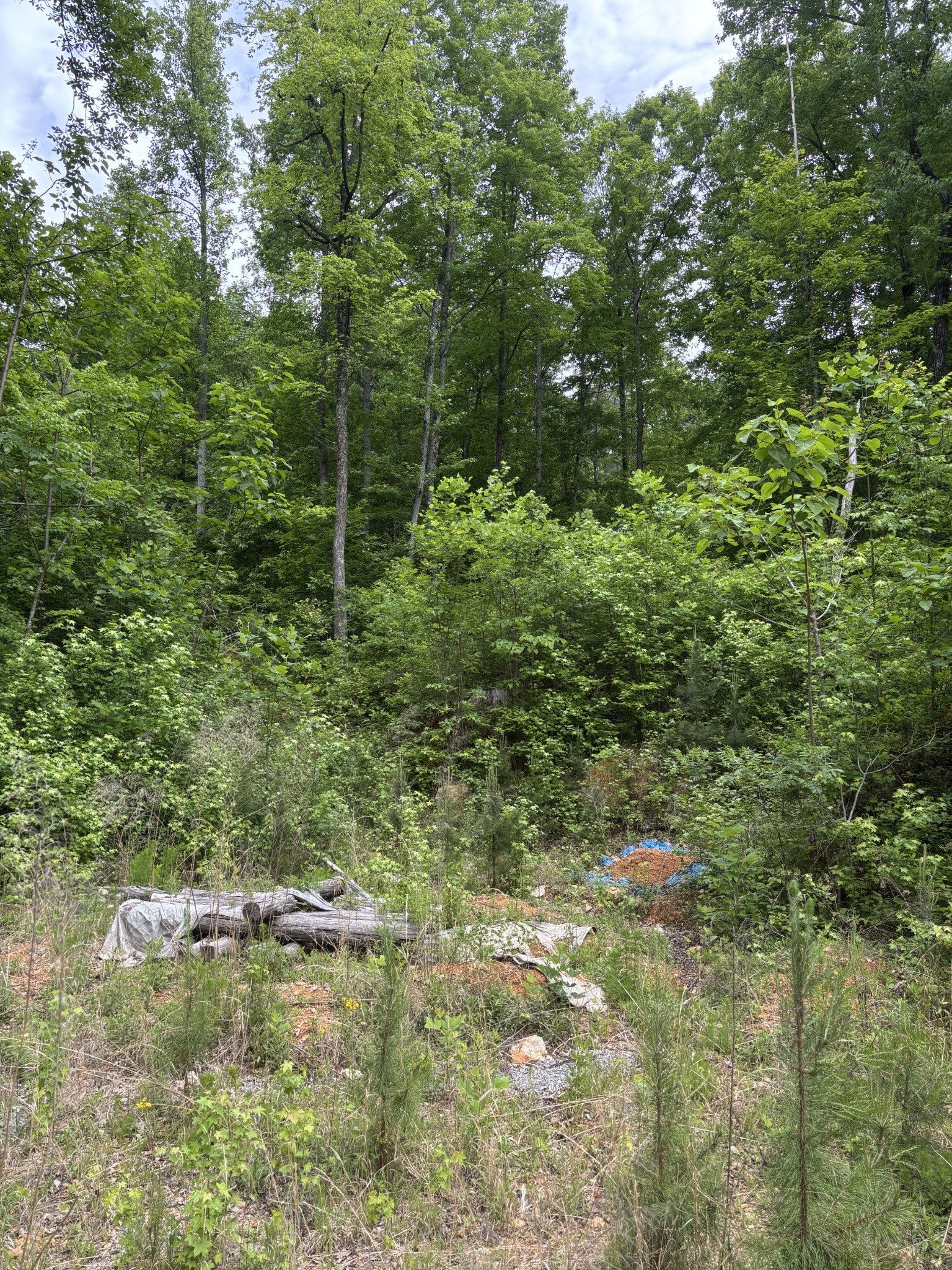 225 Hollow Road