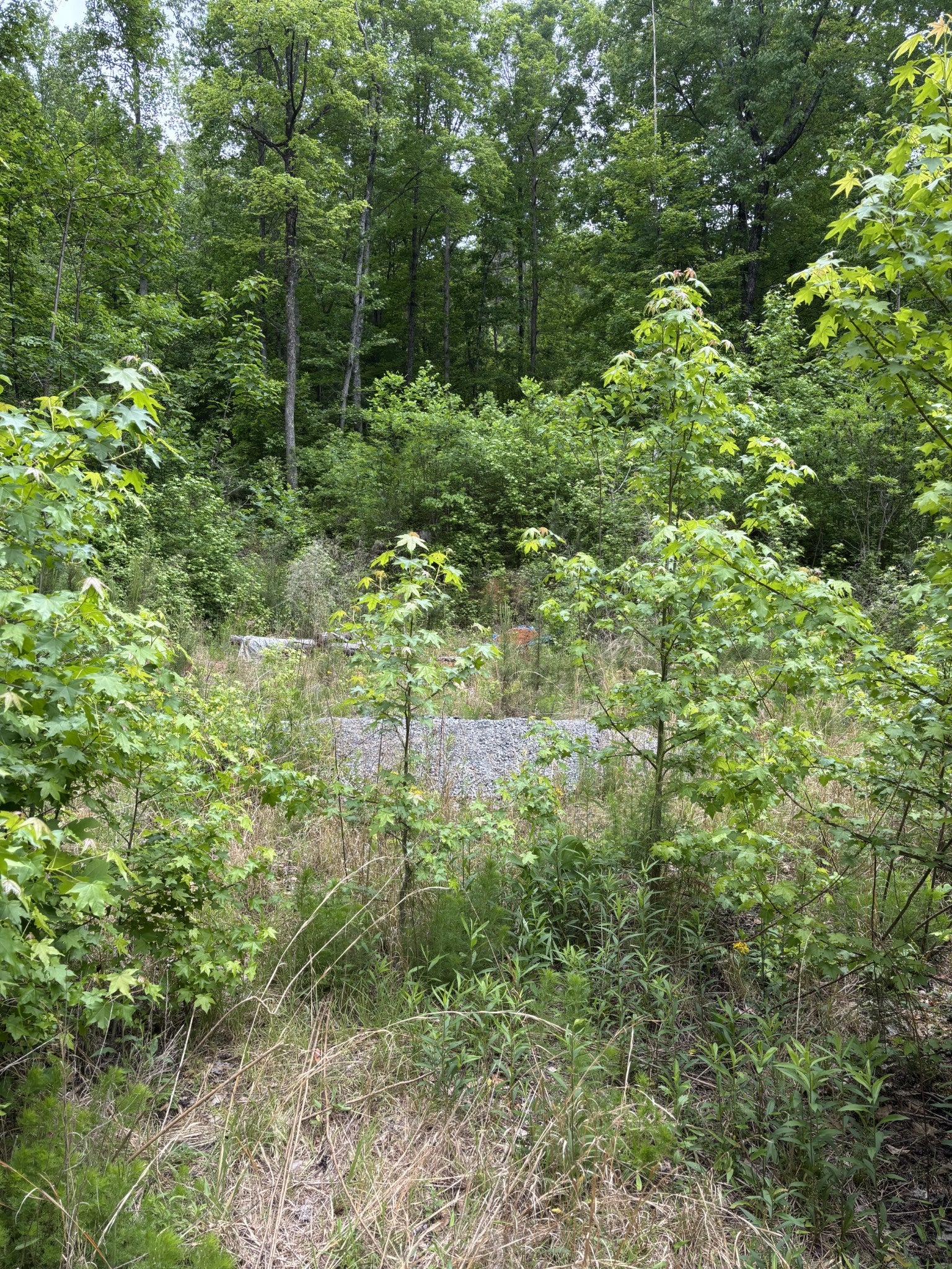 225 Hollow Road
