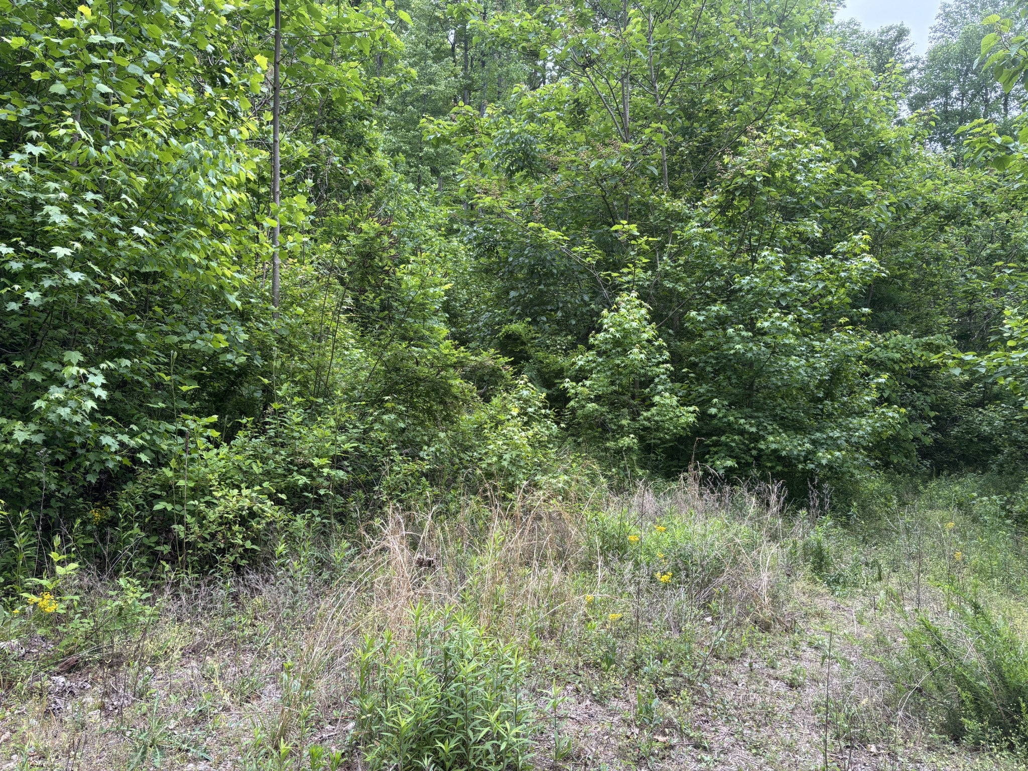 225 Hollow Road