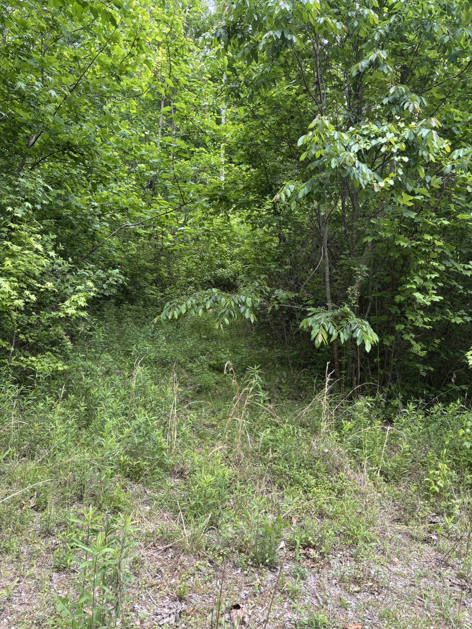 225 Hollow Road