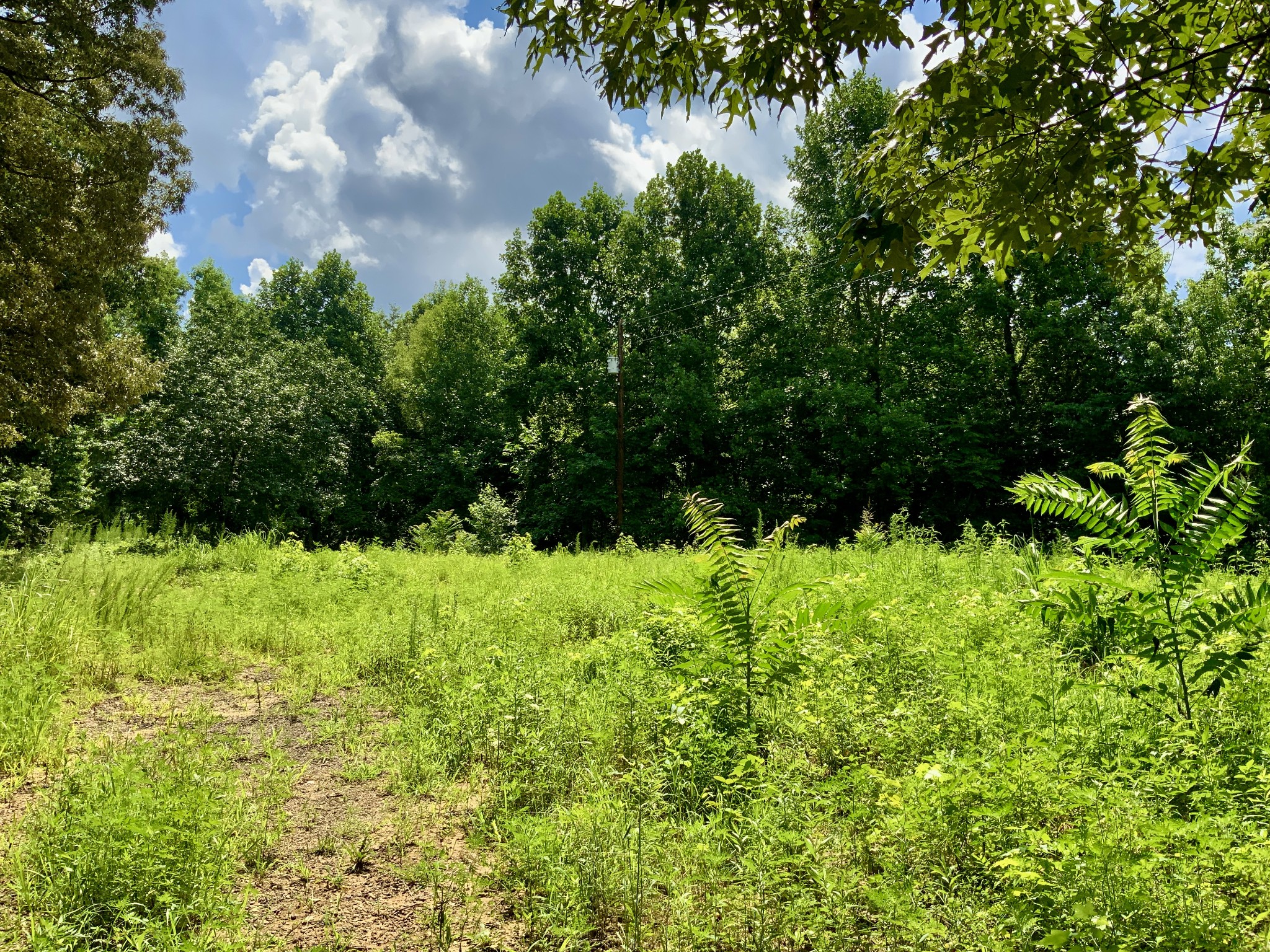 806 Pettijohn Creek Rd