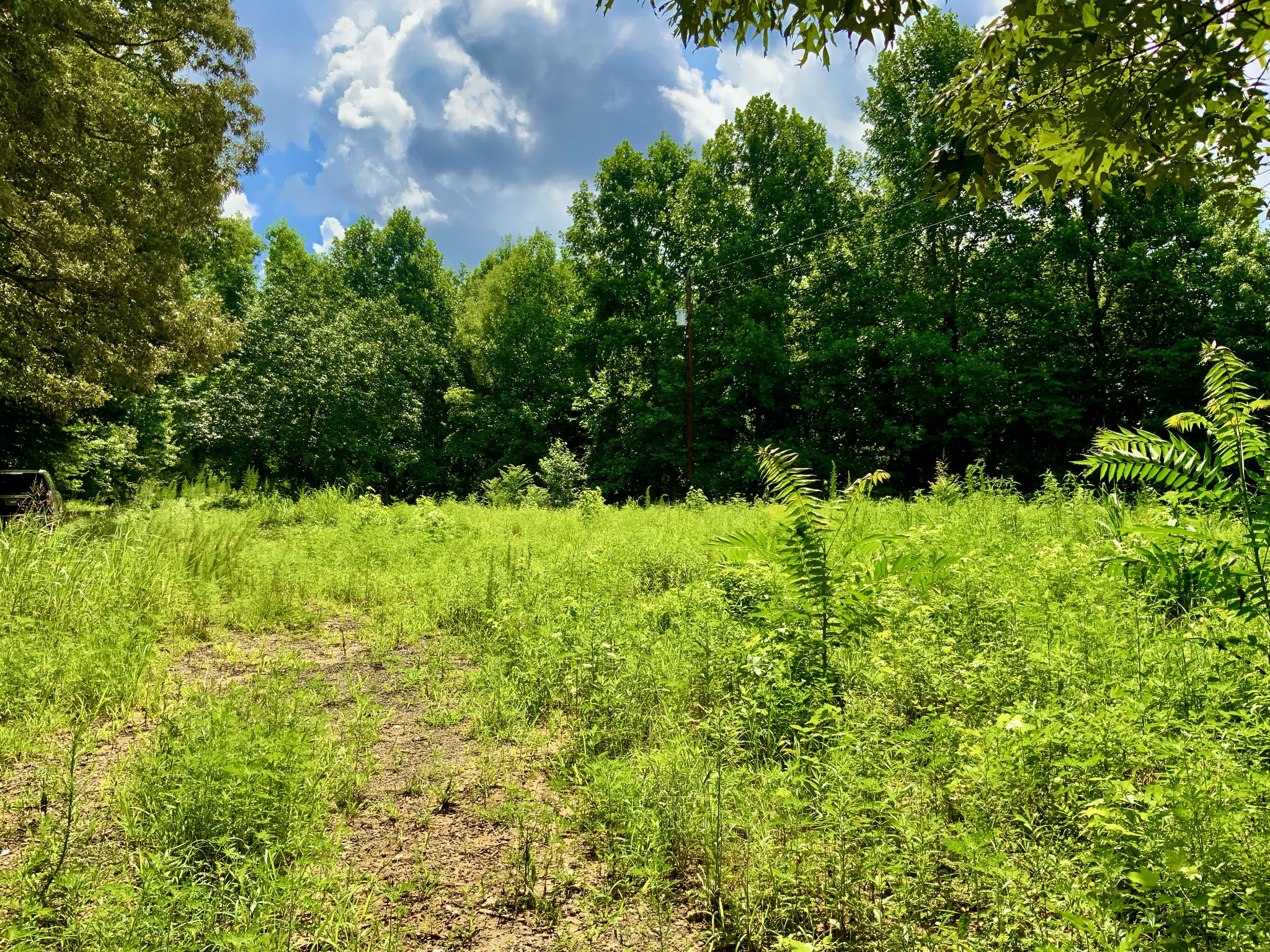 806 Pettijohn Creek Rd