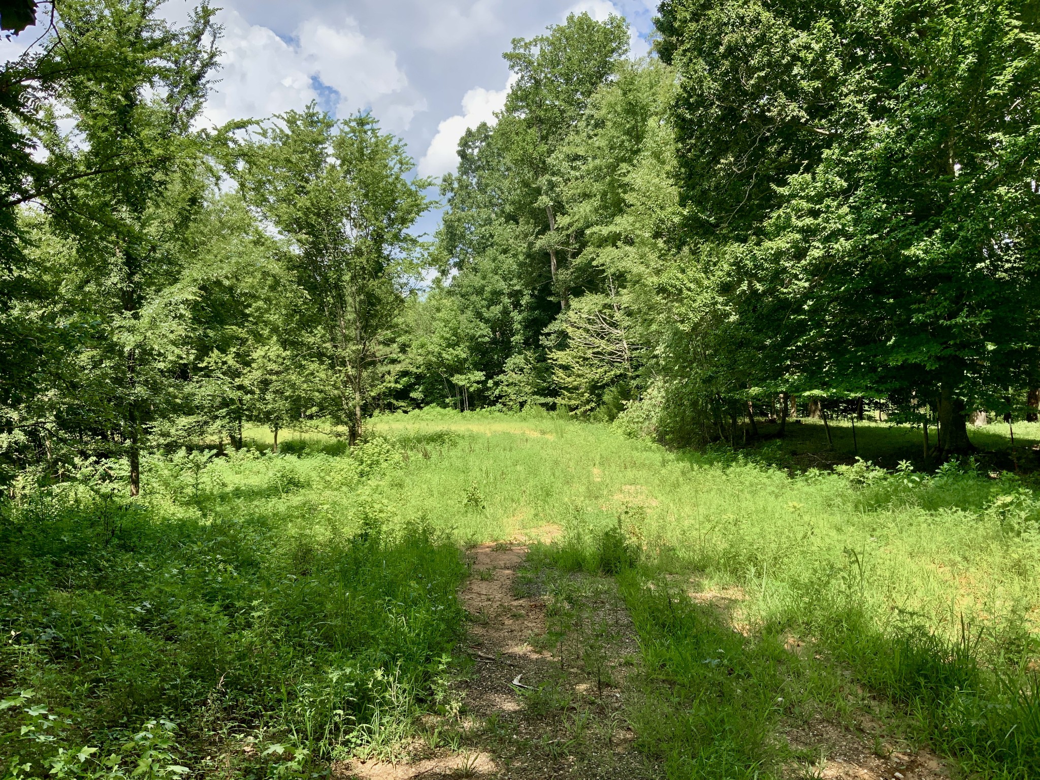 806 Pettijohn Creek Rd