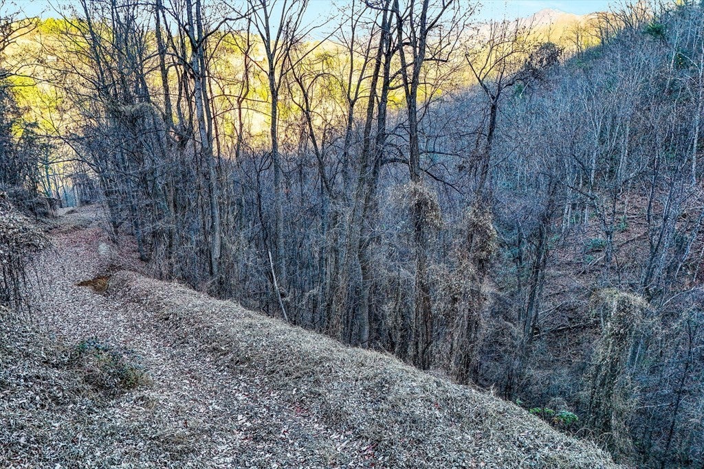 67 Balsam Slopes Road