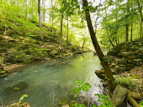 8450 Old Highway 28 Pikeville TN 37367