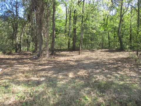 0 Reese Road Bethpage TN 37022