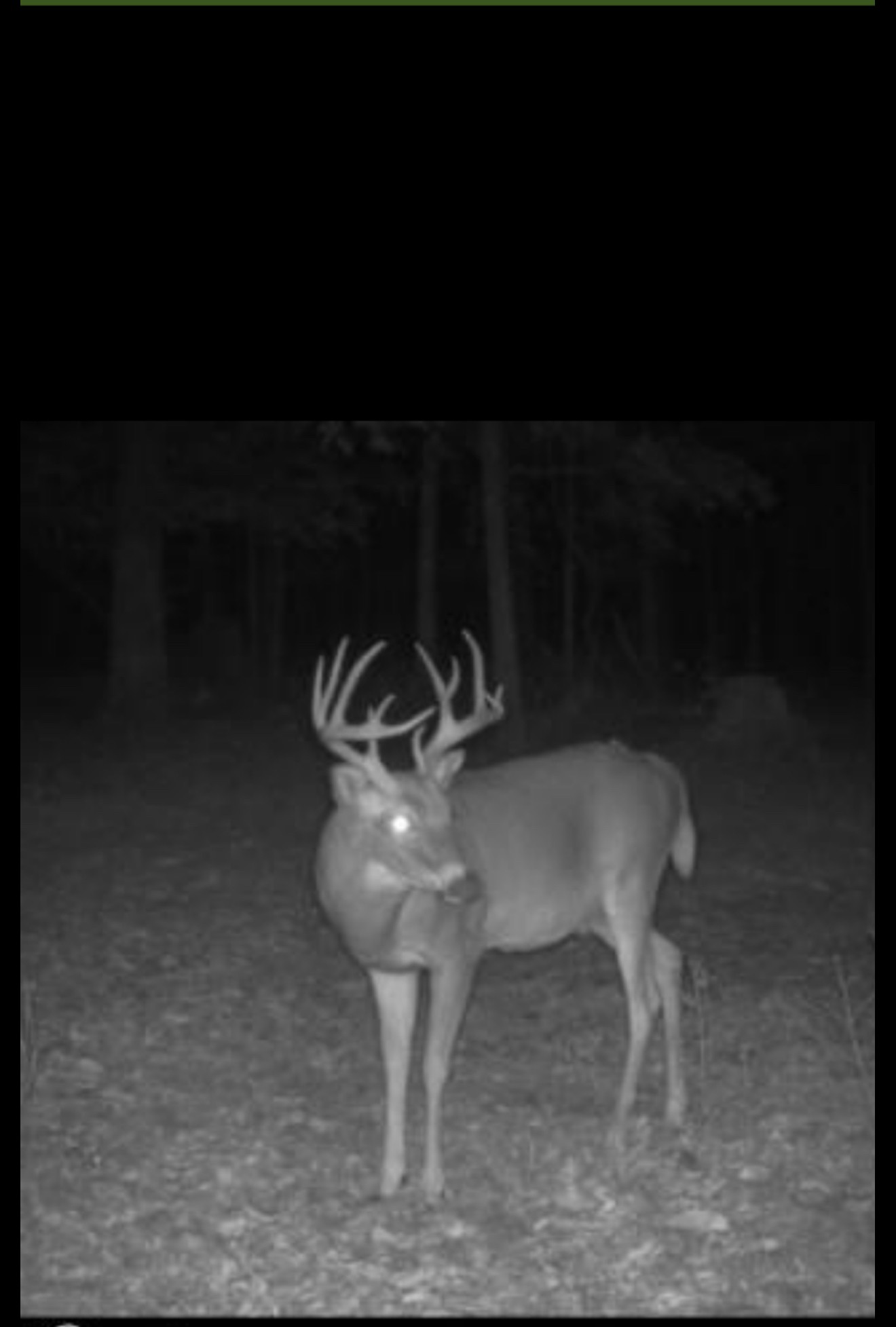 0 Bear Creek Road