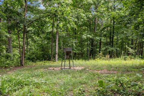 0 Bear Creek Road Waverly TN 37185