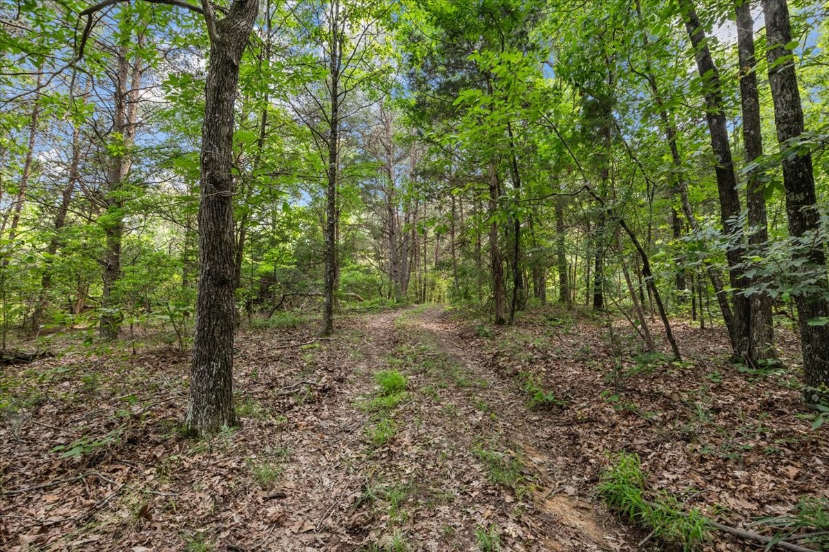 0 Bear Creek Road