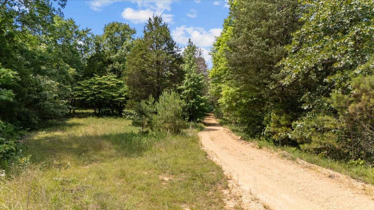0 Bear Creek Road