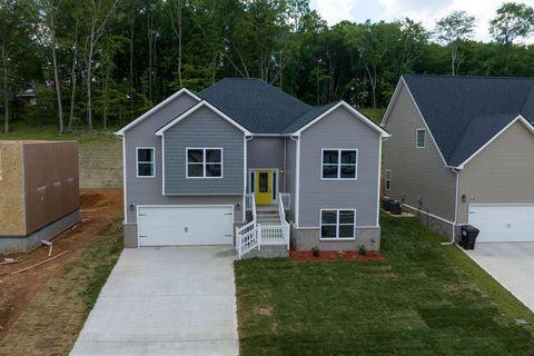 460 Ayden Ln Clarksville TN 37042