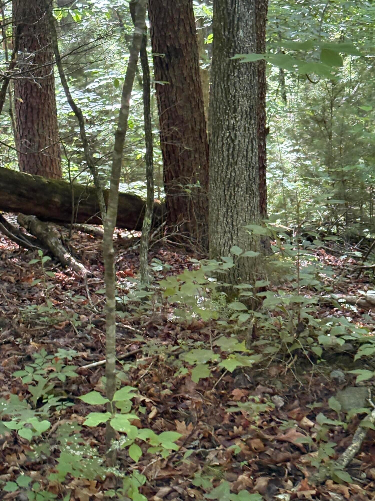 4 Old Furnace Road