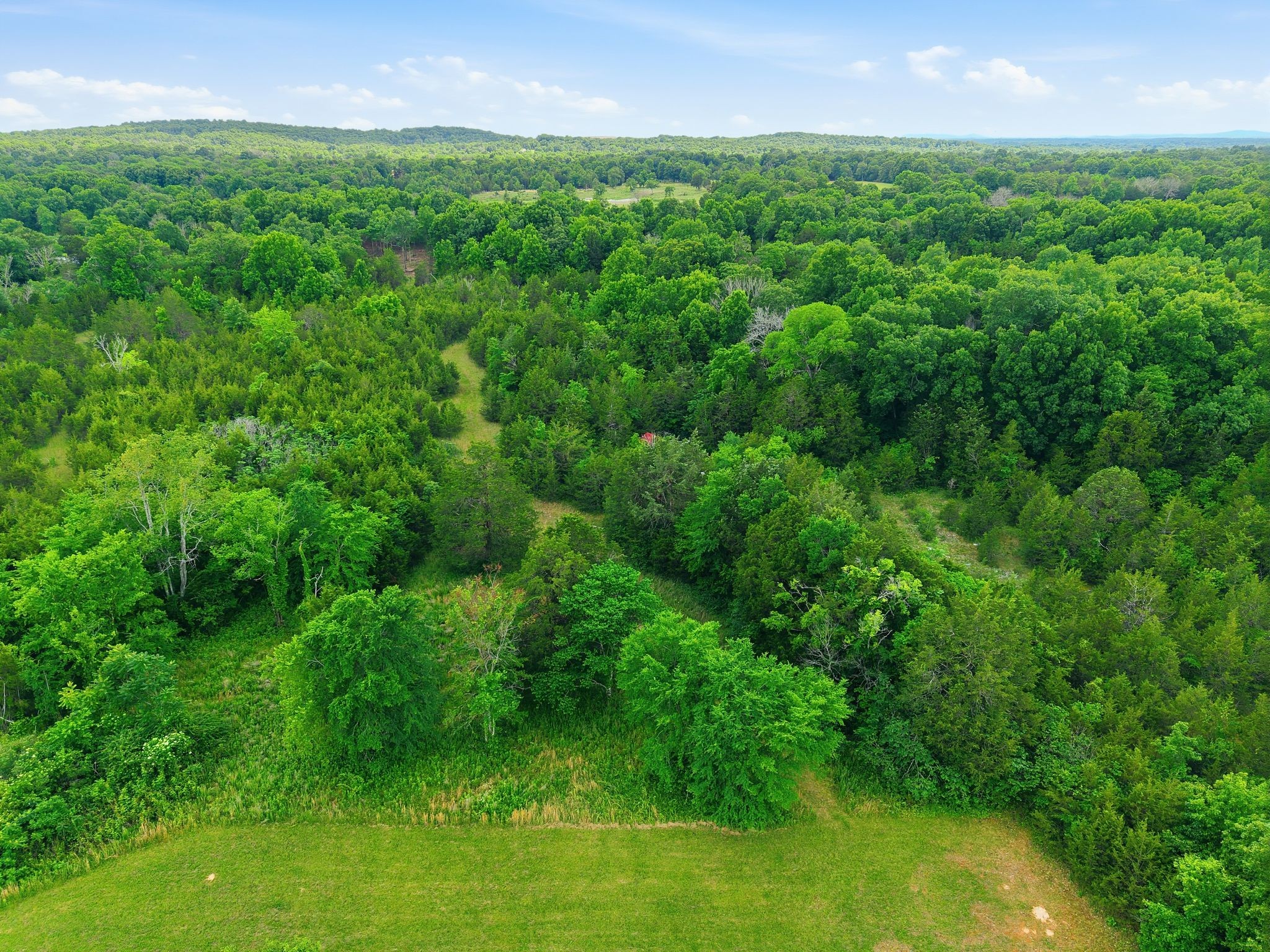 550 Alsup Mill Rd