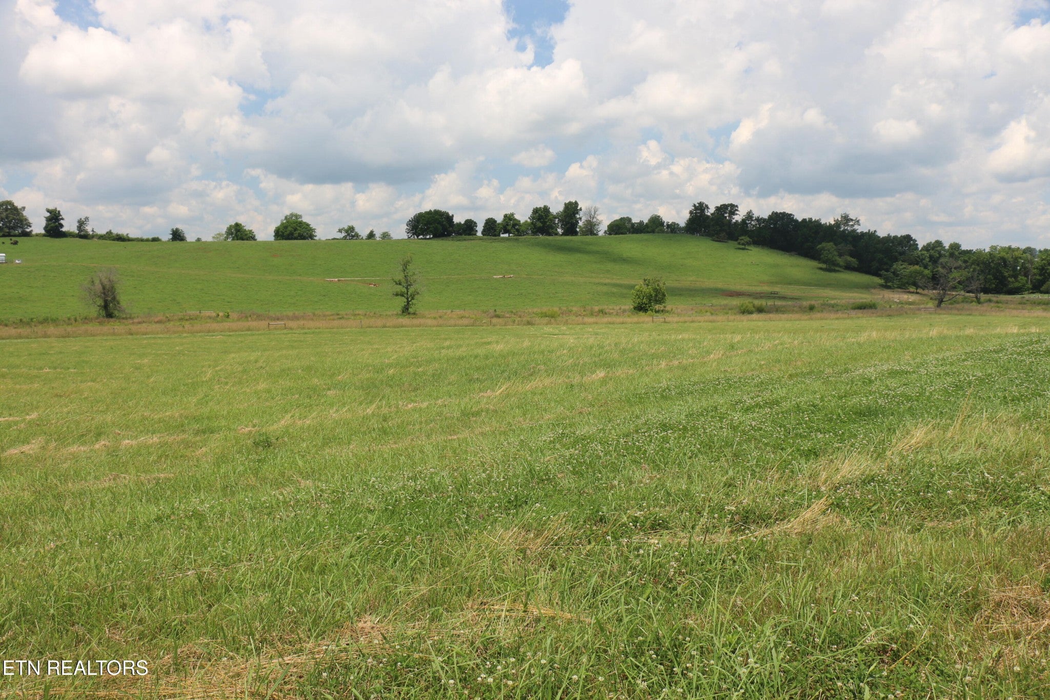 4 County Road 461