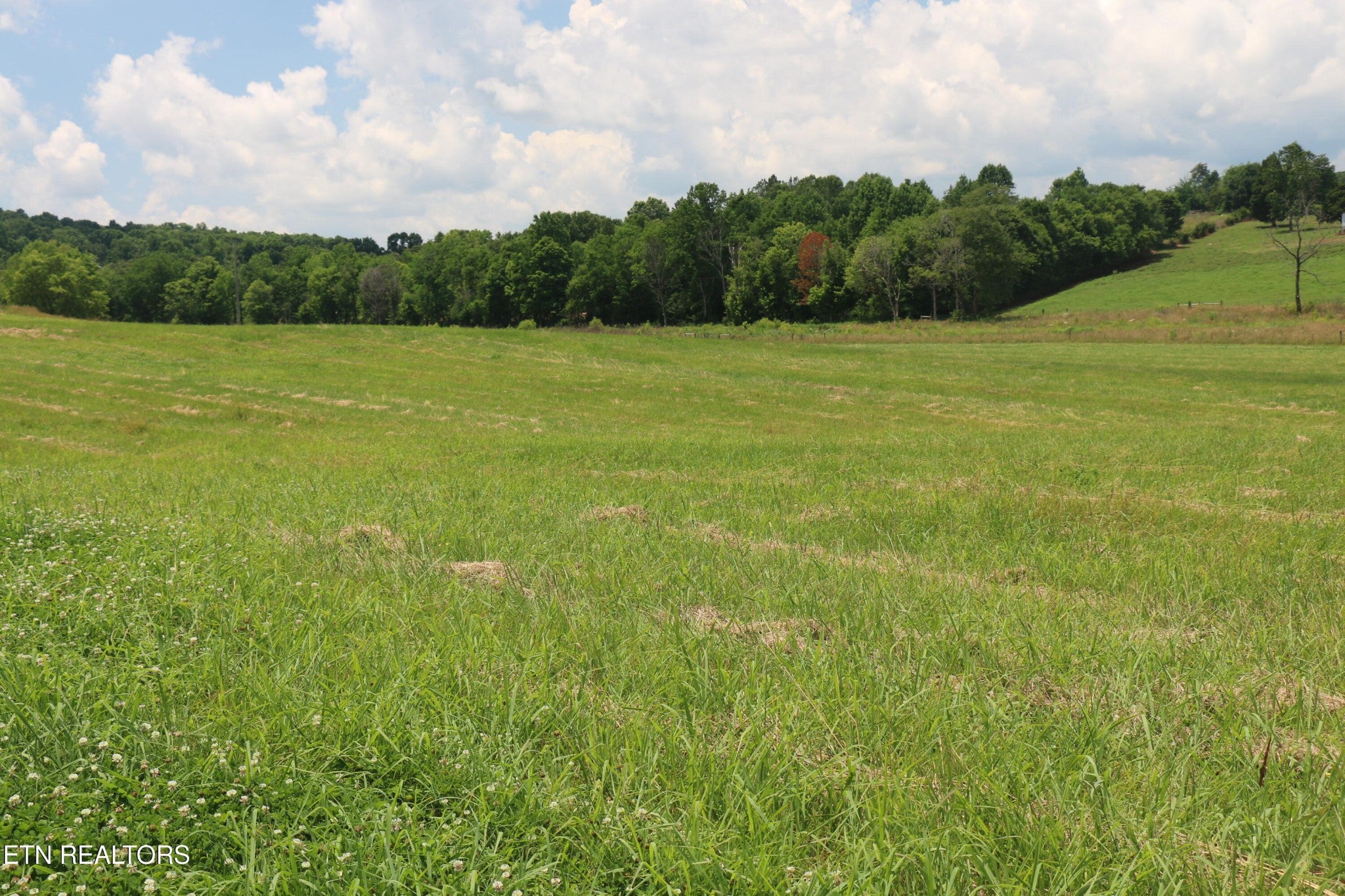 4 County Road 461