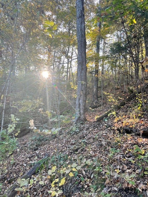 0 Brush Creek Rd