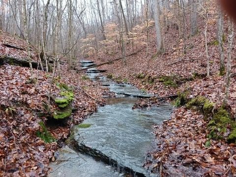 0 Brush Creek Rd Fairview TN 37062