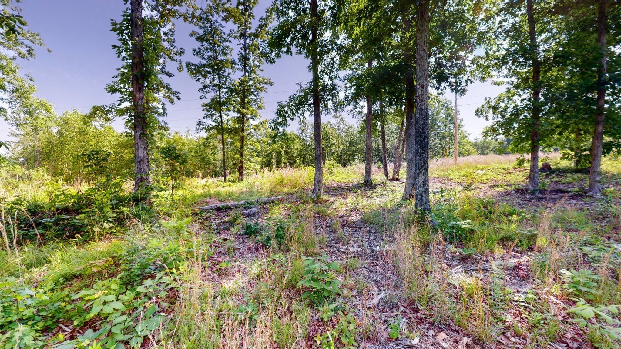 820 Overlook Trl